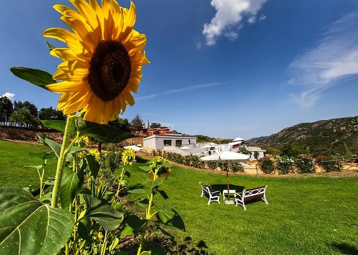 Sa Dom'e Malloru Burcei