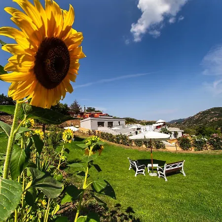 Sa Dom'e Malloru Burcei